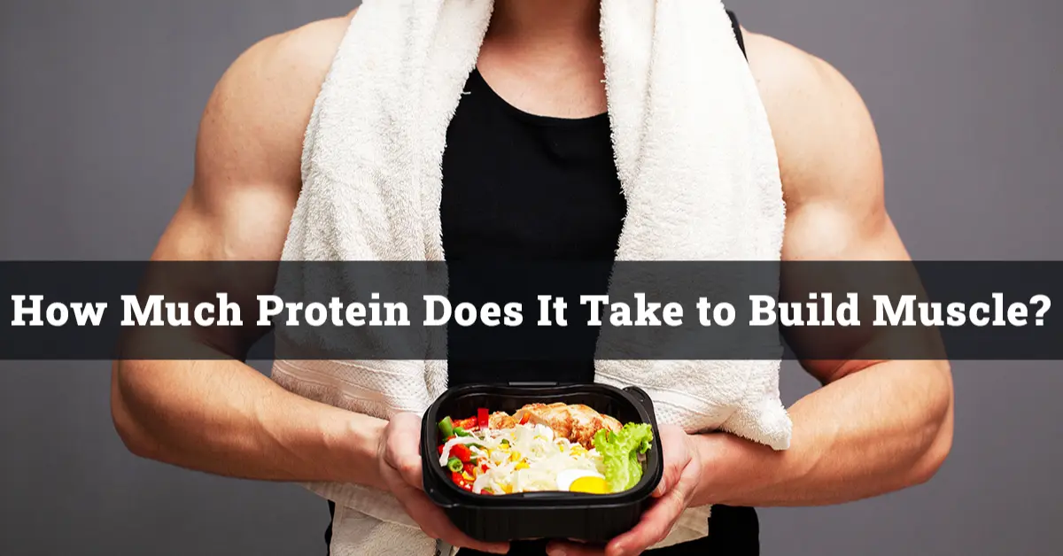 How Much Protein Does It Take to Build Muscle
