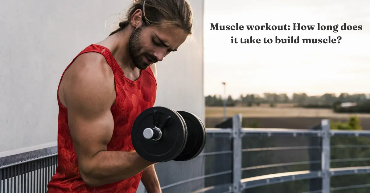 Muscle workout How long does it take to build muscle
